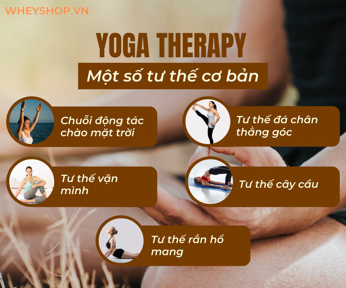 Từ khi ra đời cho đến nay, trường phái Yoga Therapy đã được yêu thích và trở thành một trong những trường phái yoga với nhiều tác dụng đối với sức khỏe con...