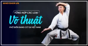 Tổng hợp: Các loại võ thuật phổ biến đang có tại Việt Nam