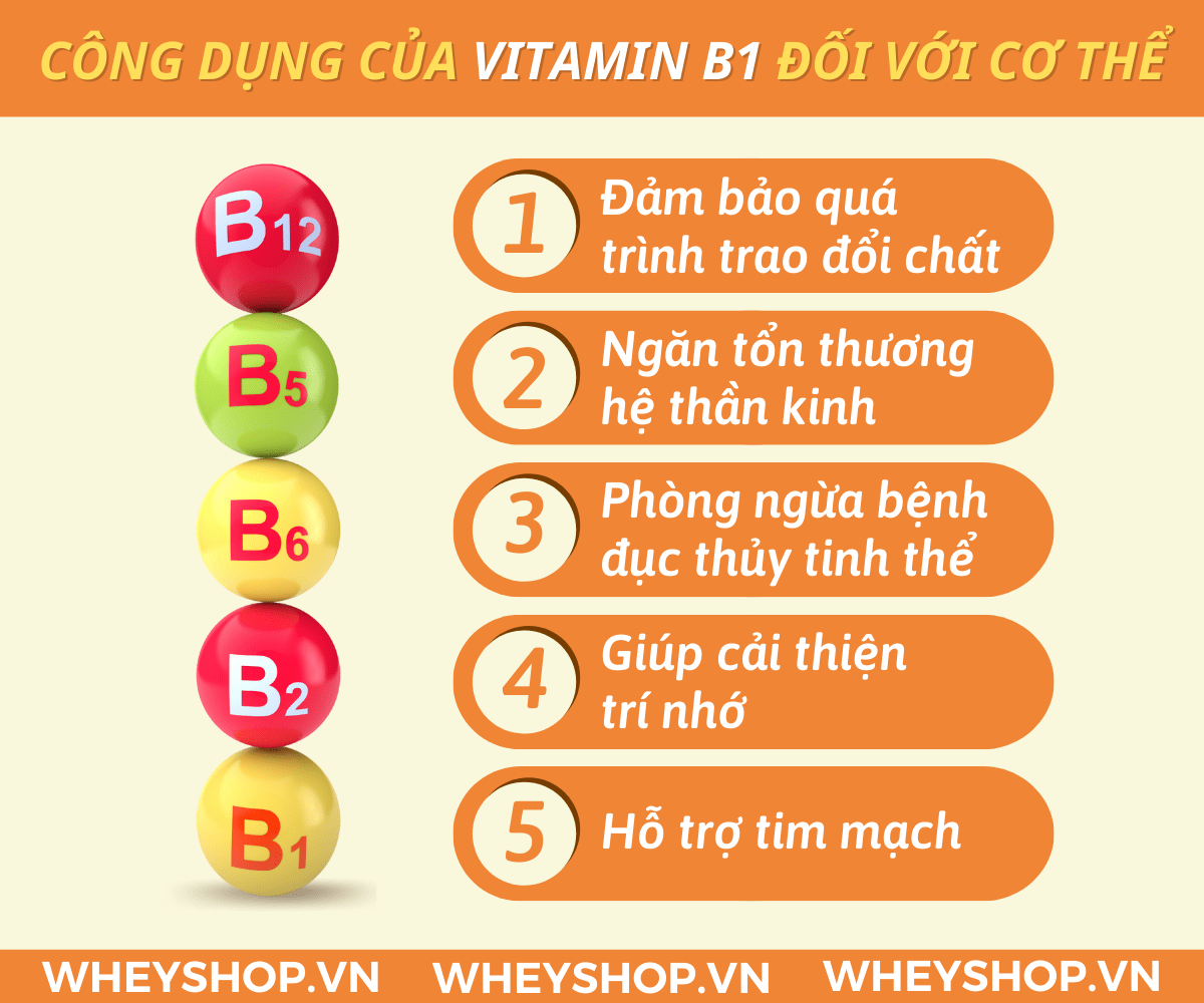 Nhiều người quan tâm đến cách tắm trắng với vitamin B1 vì đây là phương pháp cải thiện làn da đã được kiểm chứng. Vitamin B1 kết hợp với các hỗn hợp như mật...