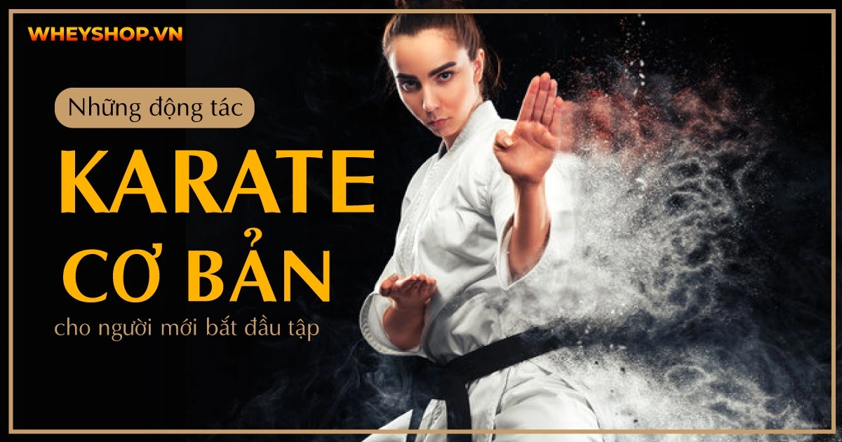 nhung-dong-tac-karate-co-ban-nhat-cho-nguoi-moi-4