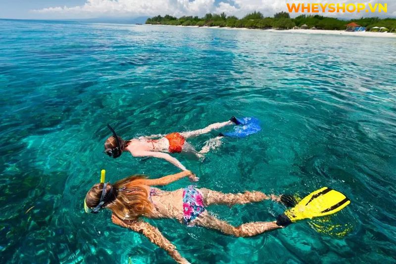 Snorkel là gì ? Bằng cách này, bạn có thể nhìn thấy san hô và sinh vật biển mà không sợ cá di chuyển và không phải nhịn thở một cách khó khăn, điều bạn cần...