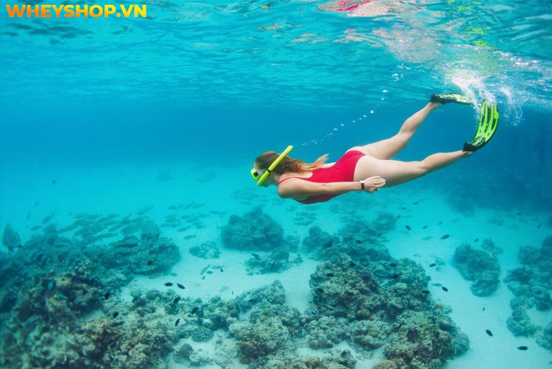 Snorkel là gì ? Bằng cách này, bạn có thể nhìn thấy san hô và sinh vật biển mà không sợ cá di chuyển và không phải nhịn thở một cách khó khăn, điều bạn cần...