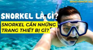 Snorkel là gì? Snorkel cần những trang thiết bị gì?