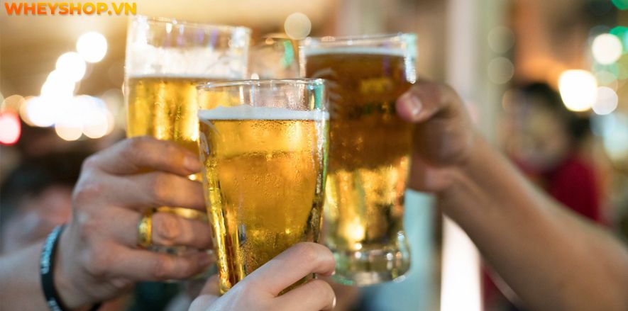 Nếu bạn đang tìm hiểu tác dụng của bia thì hãy cùng WheyShop tham khảo 10 tác dụng của bia mà bạn chưa biết qua bài viết...
