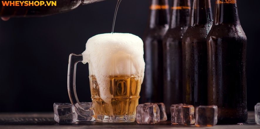 Nếu bạn đang tìm hiểu tác dụng của bia thì hãy cùng WheyShop tham khảo 10 tác dụng của bia mà bạn chưa biết qua bài viết...