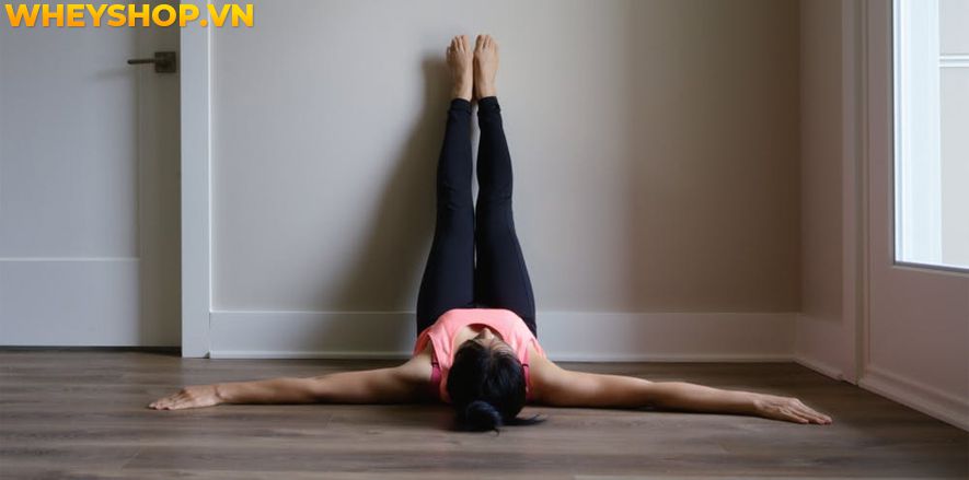 Bạn nghĩ rằng cơ thể của bạn không đủ linh hoạt để tập Yoga? Bạn có thể tham khảo chuyển sang tập Gentle Yoga , đây là một hình thức Yoga nhẹ nhàng nên rất...