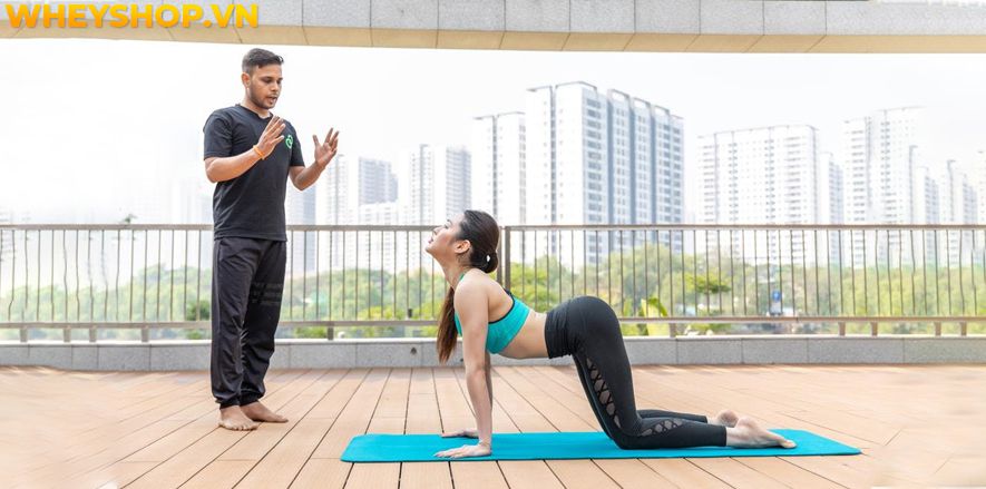 Bạn nghĩ rằng cơ thể của bạn không đủ linh hoạt để tập Yoga? Bạn có thể tham khảo chuyển sang tập Gentle Yoga , đây là một hình thức Yoga nhẹ nhàng nên rất...