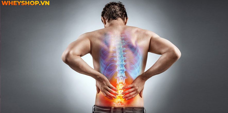 Hiện tượng đau cơ mông từ nhẹ đến nặng ở mông làm giảm sức mạnh của đôi chân và ảnh hưởng đến chất lượng cuộc sống của người bệnh. Nguyên nhân của cơn đau...
