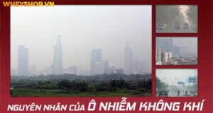Nguyên nhân của ô nhiễm không khí và giải pháp khắc phục