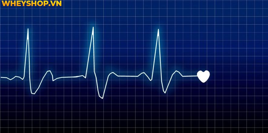 Nhịp tim trẻ em bất thường có thể là dấu hiệu của bệnh tim mạch. Việc phát hiện và điều trị sớm giúp không gây nguy hại đến tính mạng và sự phát triển của...