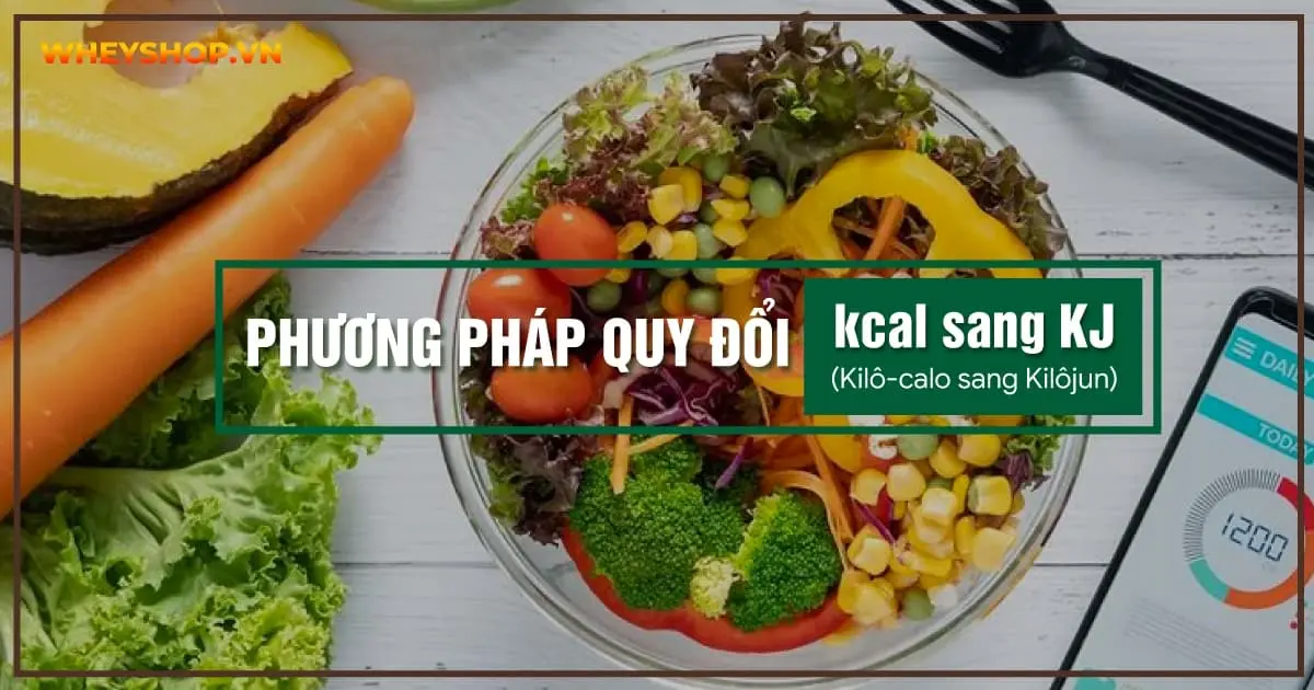 phuong-phap-quy-doi-kcal-sang-kj-3