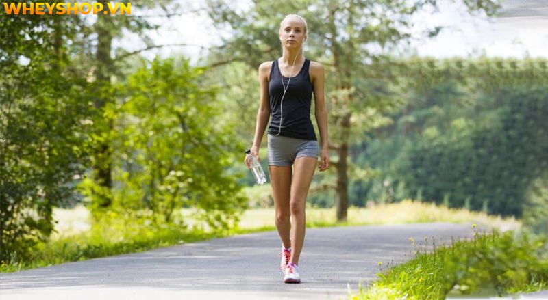Đi bộ được coi là hình thức tập thể dục đơn giản nhưng mang lại nhiều lợi ích, nhưng bạn có biết tốc độ đi bộ trung bình của một người nên là bao nhiêu thì...