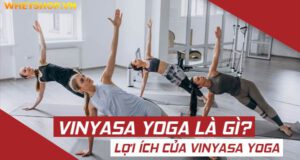 Vinyasa Yoga là gì? Đặc điểm và lợi ích của Vinyasa Yoga