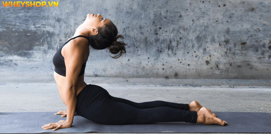Vinyasa Yoga một trường phái yoga đơn giản giúp kết nối cơ thể và tâm trí của người tập. Tại sao loại hình Yoga này lại phổ biến như vậy? Bài viết dưới đây...