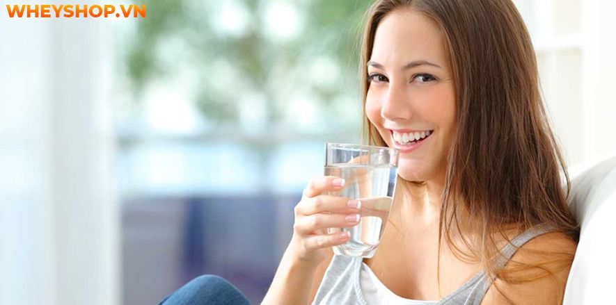 Nếu bạn đang băn khoăn trong việc tìm kiếm các loại nước uống giảm cân thì hãy cùng WheyShop tham khảo chi tiết bài viết ngay sau đây...