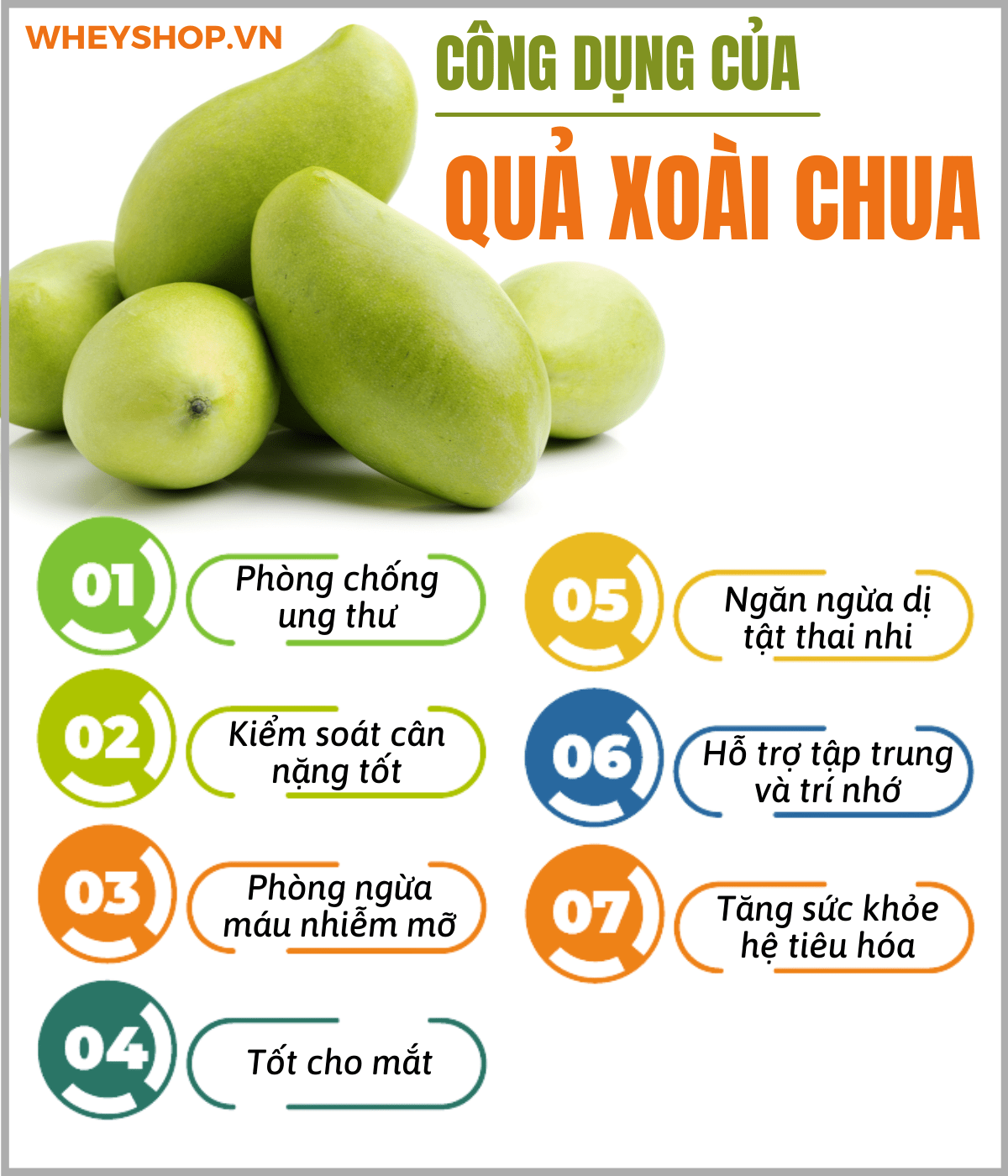 Xoài chua là một loại trái cây phổ biến tại Việt Nam, xoài là một loại trái cây được nhiều người biết đến với nhiều loại khác nhau. Khi còn xanh, x oài chua...