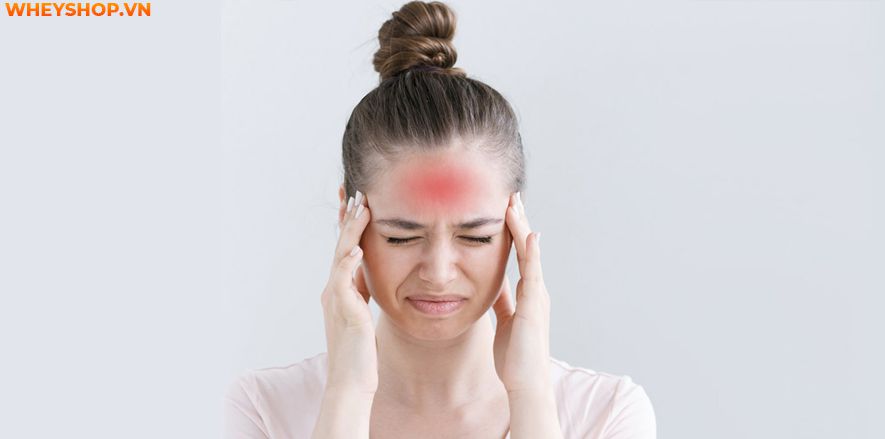 Nếu bạn đang băn khoăn tìm cách matxa đầu giảm đau, xua tan mệt mỏi hiệu quả ngay tại nhà thì hãy cùng WheyShop tham khảo bài viết...