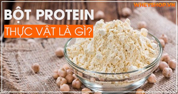 Tìm hiểu về bột protein thực vật là gì và lợi ích cho sức khỏe