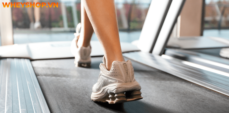 Nếu bạn đang băn khoăn tìm cách giảm mỡ bắp chân nhanh chóng, hiệu quả thì hãy cùng BenhVienKim tham khảo chi tiết bài viết ngay sau đây...