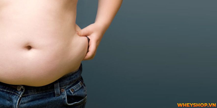 Nếu bạn đang băn khoăn tìm cách giảm mỡ bụng nam thì hãy cùng WheyShop tham khảo 8 cách giảm mỡ bụng nam tự nhiên, hiệu quả nhanh chóng...