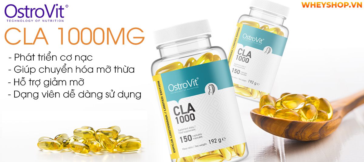 Ostrovit CLA 1000mg là sản phẩm bổ sung axit béo tốt CLA hỗ trợ chuyển hóa mỡ thừa thành năng lượng, giảm mỡ tự nhiên, lành tính, an toàn với sức khỏe...