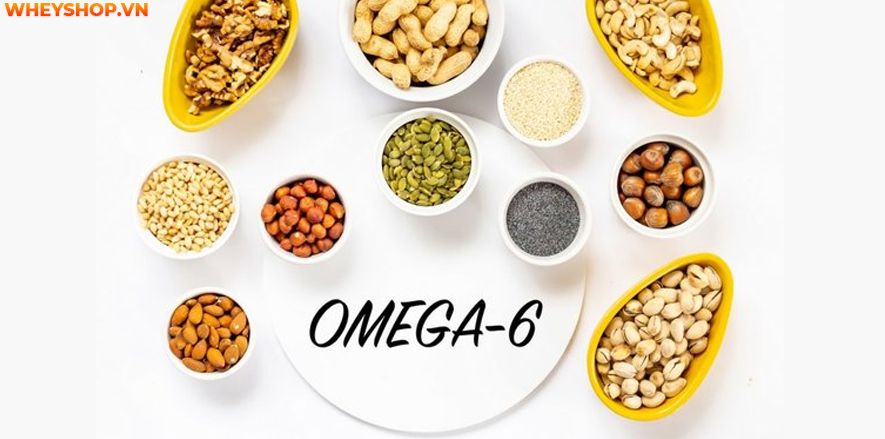 Chất béo không bão hòa đơn và đa, bao gồm omega-3 và omega-6, được xem là chất béo tốt cho sức khỏe nếu như ăn với một lượng vừa phải. Vậy chất béo không bão...
