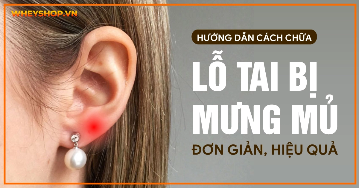 Bông tai khuyên tai nam kẹp vành không cần bấm lỗ xỏ lỗ Titanium (1 Đôi) |  Lazada.vn