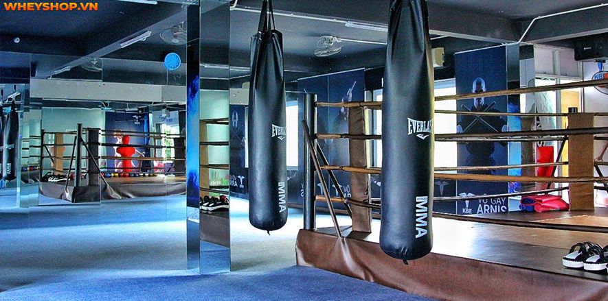 Boxing hay còn gọi là quyền anh, đang dần trở nên phổ biến trên toàn thế giới. Nhiều người chọn học boxing là môn thể thao để nâng cao sức khỏe và khả năng...