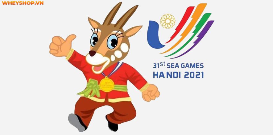 Sea Games là sự kiện thể thao diễn ra hai năm một lần giữa chu kỳ Thế vận hội Châu Á, và Thế vận hội Olympic. Vậy SEA Games 31 được tổ chức ở đâu ? Câu trả...