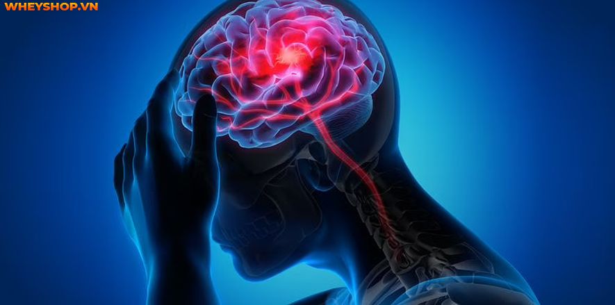 Seizure là gì? Dấu hiệu, nguyên nhân, cách điều trị