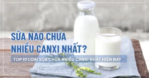 Sữa nào chứa nhiều canxi nhất? Top 11+ loại sữa chứa nhiều canxi nhất hiện nay