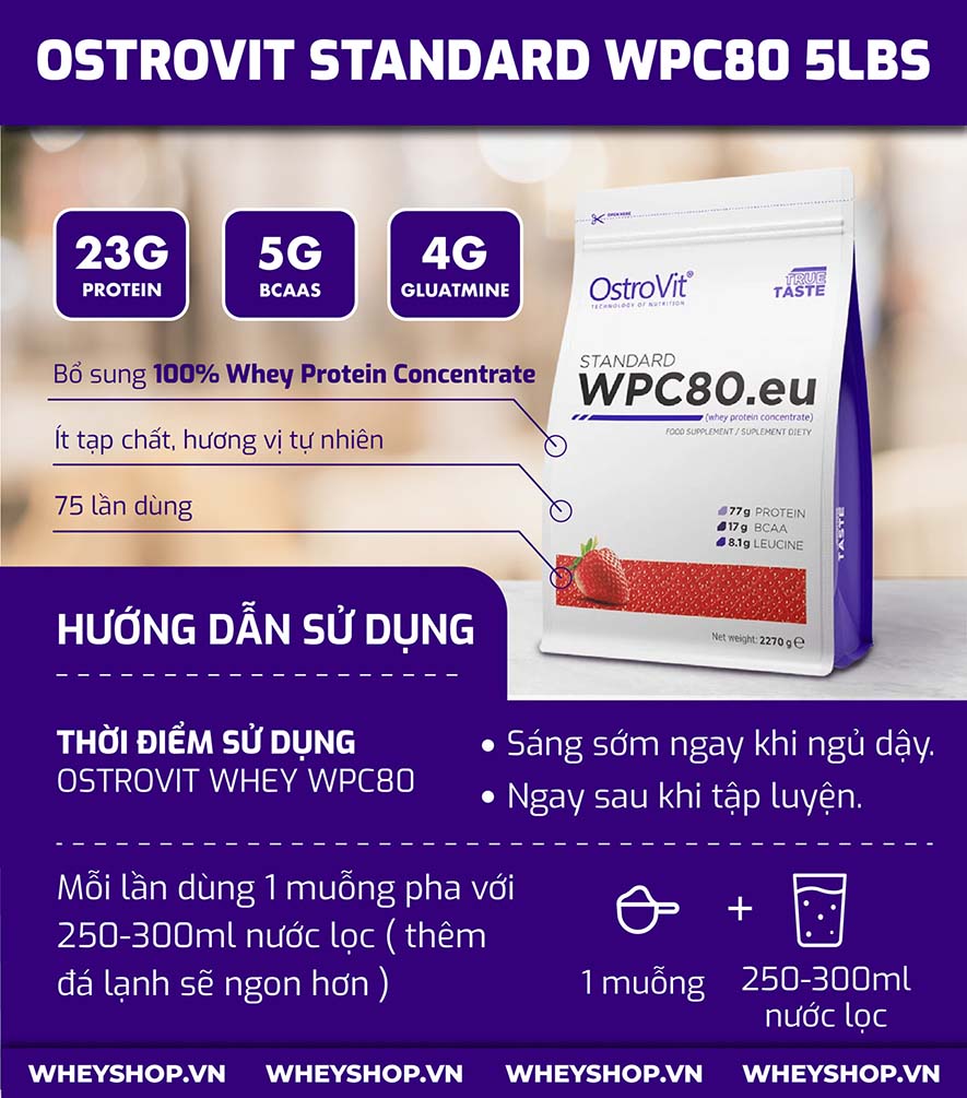 OSTROVIT WPC 5LBS tăng cơ nhanh giá rẻ chính hãng Hà Nội TpHCM