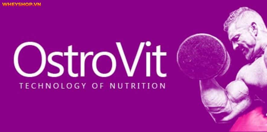 Nếu bạn đang băn khoăn tìm hiểu đánh giá Ostrovit Vitamin D3 4000 K2 có tốt không thì hãy cùng WheyShop tham khảo giải đáp chi tiết qua bài viết...