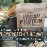 danh-gia-vegan-protein-whey-protein-thuc-vat-cho-nguoi-an-chay-01-min