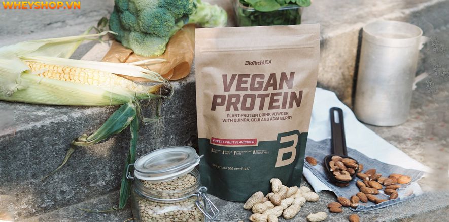 Whey Protein thực vật là giải pháp bổ sung protein cho người ăn chay hoặc không muốn sử dụng nguồn protein động vật, sữa bò. Vậy Whey Protein thực vật là gì?...