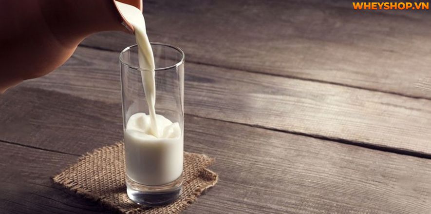 Nếu bạn đang tìm cách tăng cân bằng sữa ông thọ thì hãy cùng WheyShop tham khảo 9 cách bổ sung hiệu quả, đơn giản cho người gầy tăng cân...