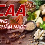 Nếu bạn đang băn khoăn tìm hiểu BCAA có trong thực phẩm nào thì hãy cùng WheyShop tham khảo chi tiết bài viết sau đây để tìm hiểu...