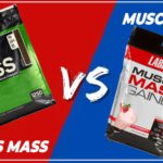 Nếu bạn đang băn khoăn so sánh Serious Mass và Muscle Mass Gainer không biết nên chọn loại nào thì hãy cùng WheyShop tham khảo bài viết...
