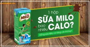 1 hộp sữa Milo bao nhiêu calo? Uống sữa Milo có tăng cân không?