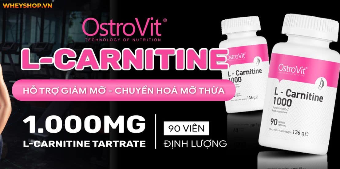 Nếu bạn đang tìm hiểu về Ostrovit L Carnitine thì hãy cùng WheyShop review đánh giá Ostrovit L Carnitine có tốt không qua bài viết...