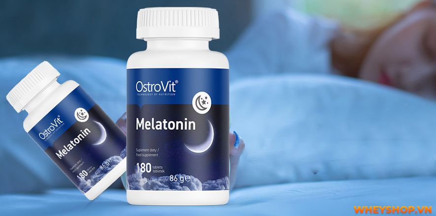 Nếu bạn đang phân vân khi lựa chọn Ostrovit Melatonin thì hãy cùng WheyShop review đánh giá Ostrovit Melatotin có tốt không qua bài viết...