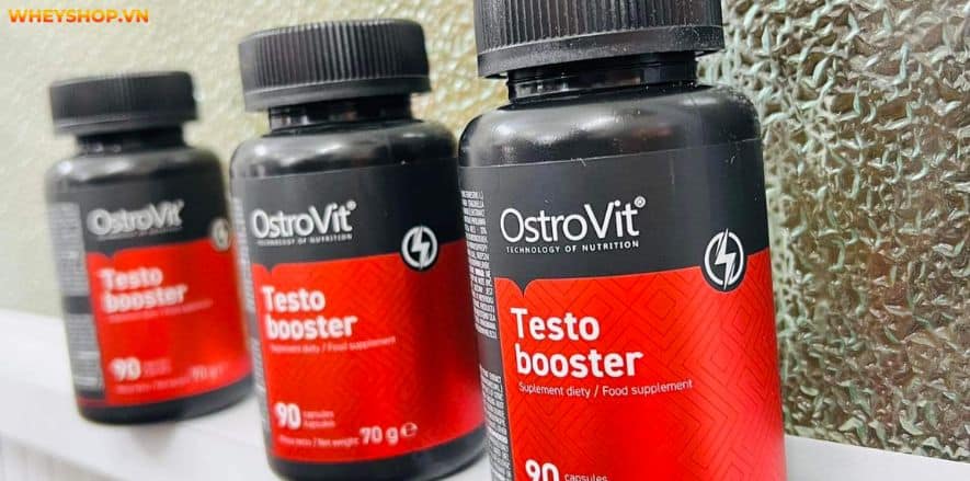 Nếu bạn đang phân vân đánh giá Ostrovit Testo Booster có tốt không thì hãy cùng WheyShop tham khảo review đánh giá sản phẩm qua bài viết...