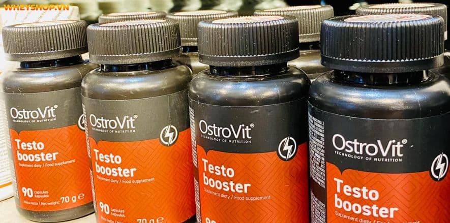 Nếu bạn đang phân vân đánh giá Ostrovit Testo Booster có tốt không thì hãy cùng WheyShop tham khảo review đánh giá sản phẩm qua bài viết...