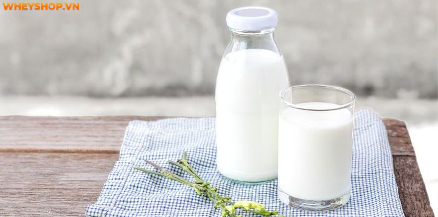 Nếu bạn đang băn khoăn sữa tươi không đường bao nhiêu calo thì hãy cùng WheyShop tìm hiểu chi tiết các loại sữa tươi không đường qua bài viết...