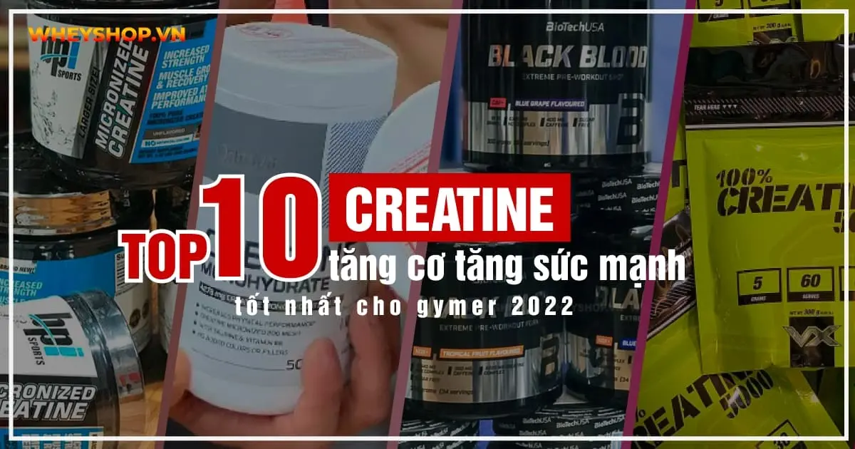 top-10-creatine-tang-co-tang-suc-manh-tot-nhat-cho-gymer-2022-5