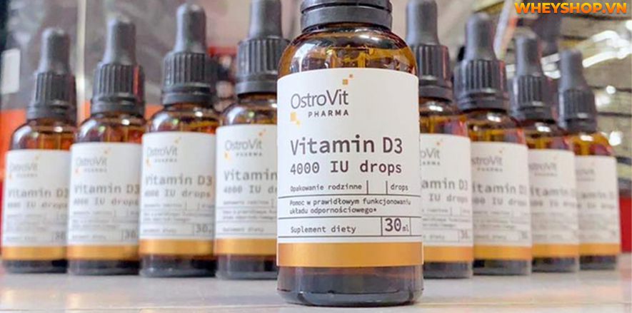 Nếu bạn đang băn khoăn về sản phẩm Ostrovit Vitamin D3 4000IU Drops thì hãy cùng WheyShop reivew đánh giá Ostrovit Vitamin D3 4000IU Drops qua bài viết...