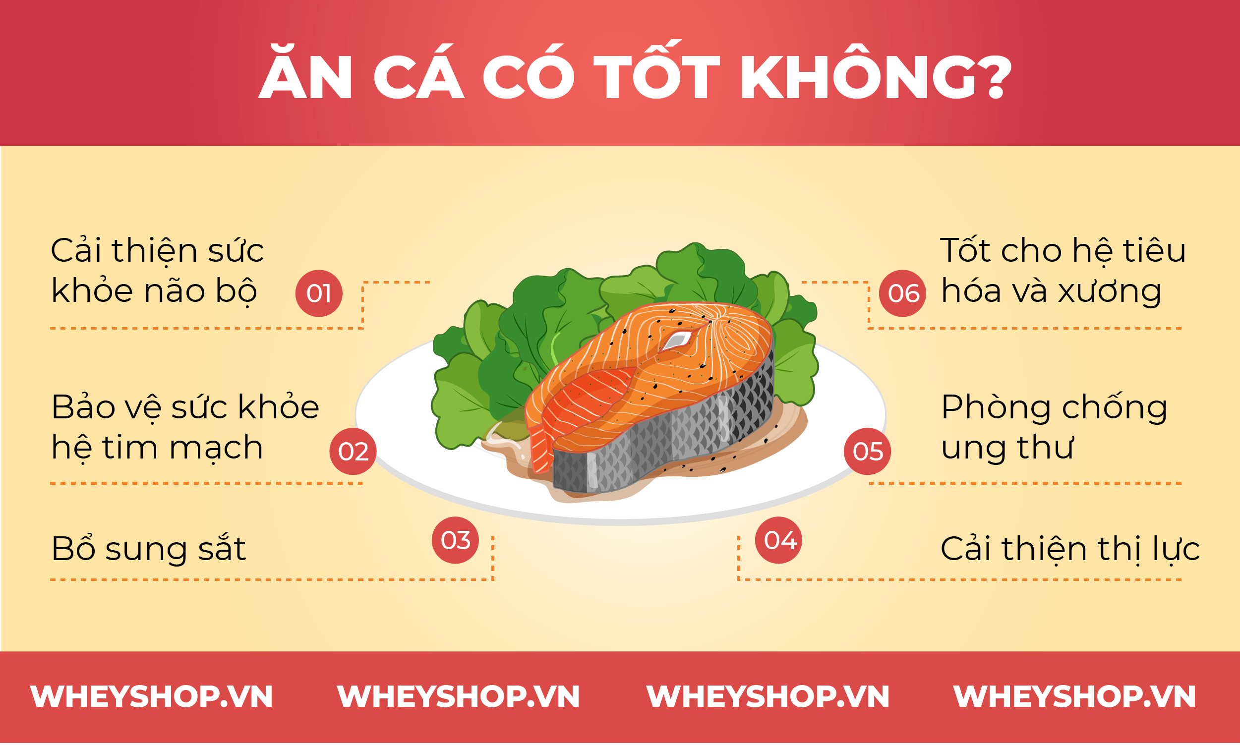 Nếu bạn đang băn khoăn ăn cá có mập không thì hãy cùng WheyShop tìm hiểu 100g cá bao nhiêu calo để giải đáp thắc mắc qua bài viết...