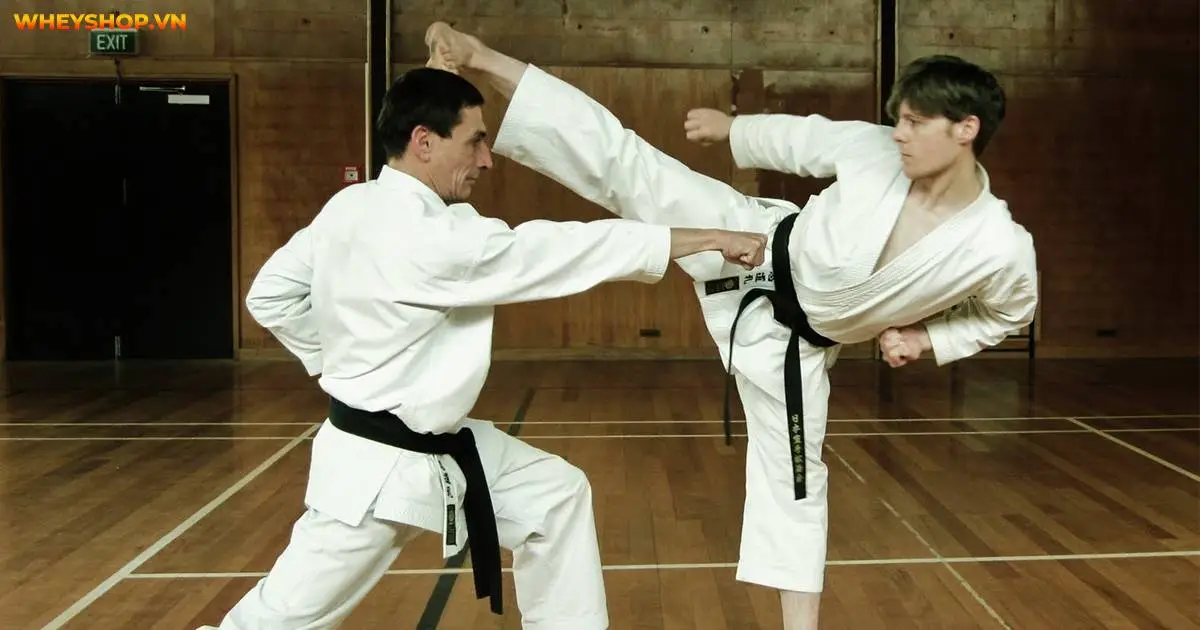 nen-hoc-vo-karate-hay-taekwondo-mon-vo-nao-tot-nhat-2