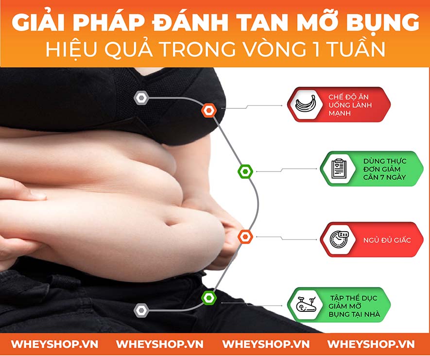 Nếu bạn đang có một thân hình cân đối, tuy nhiên dạng người dễ dàng béo bụng thì WheyShop ở đây để giúp đỡ bạn cách giảm mỡ bụng tại nhà hiệu quả trong 1...