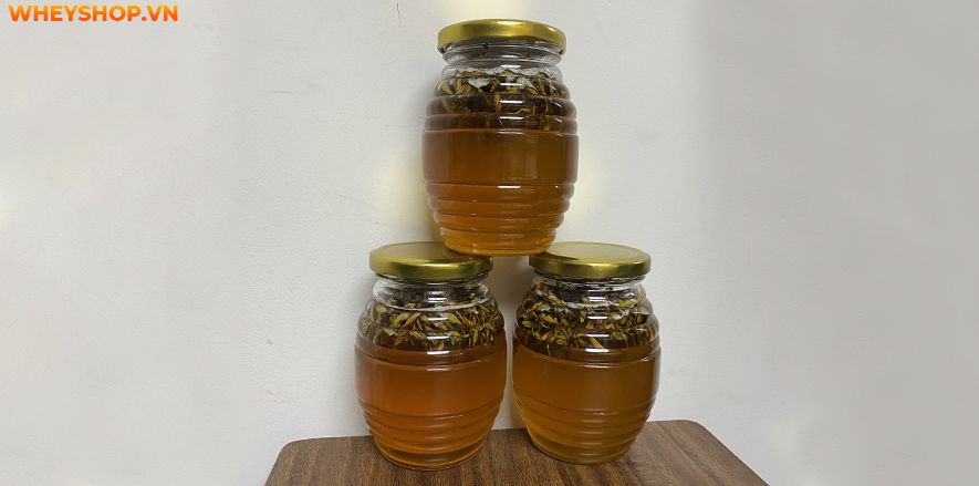 Cách ngâm hoa đu đủ đực với mật ong có tác dụng gì? Hãy cùng WheyShop làm phương thuốc ngâm hoa đu đủ đực với mật ong tại nhà nhé